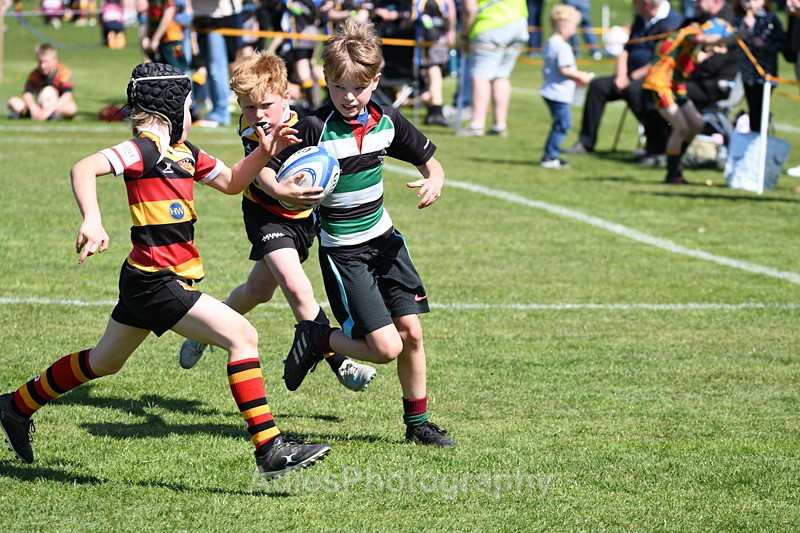  - Selby Rugby Festival 2025