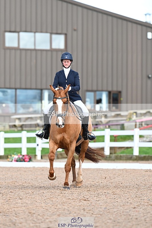 240218A-130128-07388 - 203-Ashley.Edmond-Sir.Suave.II