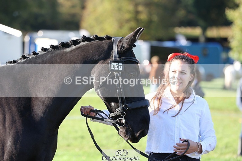 241027-092312-15253 - 357-Eleanor.Newcombe-MR.DARCY