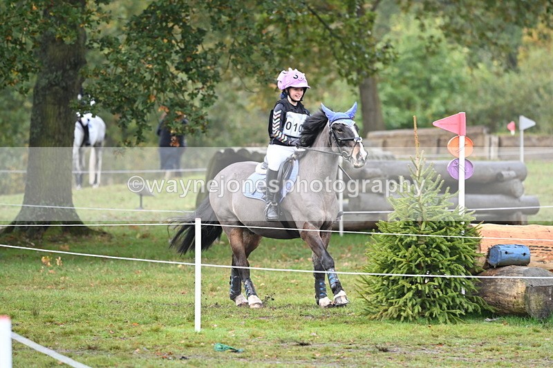 WJ6_1740 - 80cm Cam 1 Time 10:08 to 10:45