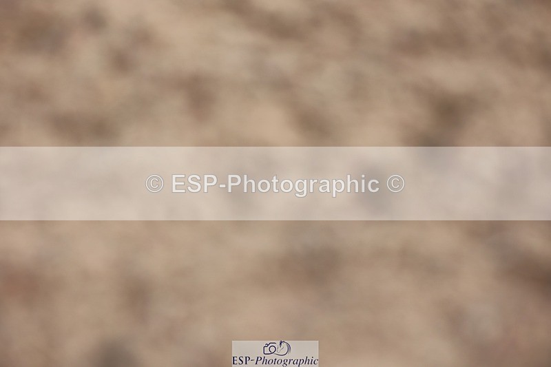 250621-091356-05955 - Cls 28 - Freestyle Novice