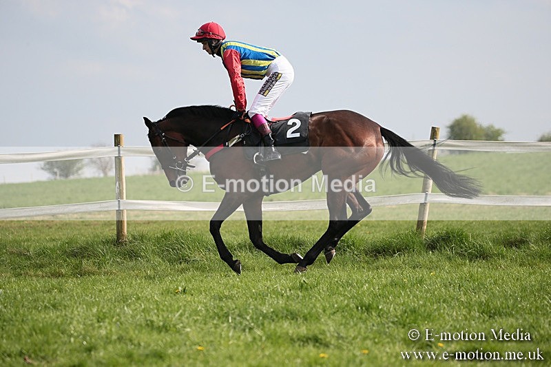 PtP 210418 400 - South & West Wilts Point-to-Point Larkhill 21/04/18