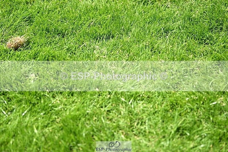 250615A-133956-11172 - Cls 38 Snr 1m40 GP