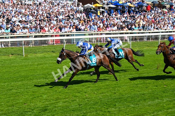 120725-Race 3-Fox Legacy-5697 - Race 3 3.10pm John Smith's Cup Handicap