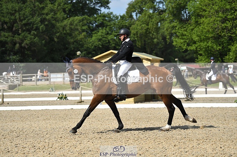 230525-102709-01715 - 312-J'ADORE_SALSA-Michael_Owen-WEDTrotUp+DR