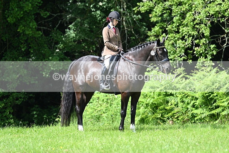 WJ7_1238 - Class 11 Condition & Turnout