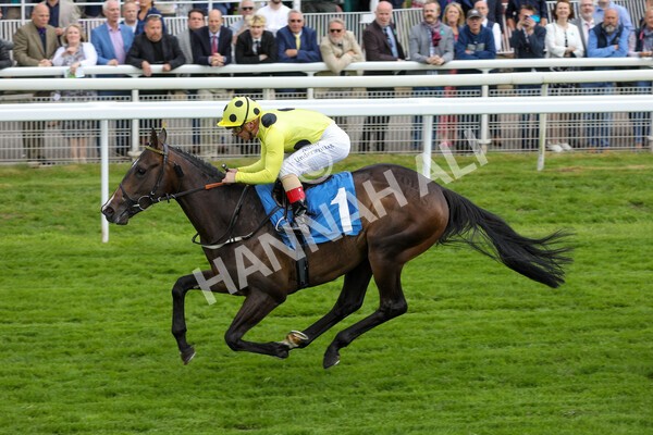 yr11062022r6-32 - Race 6 4.15pm Reg Griffin Appreciation EBFstallions.com Maiden Stakes