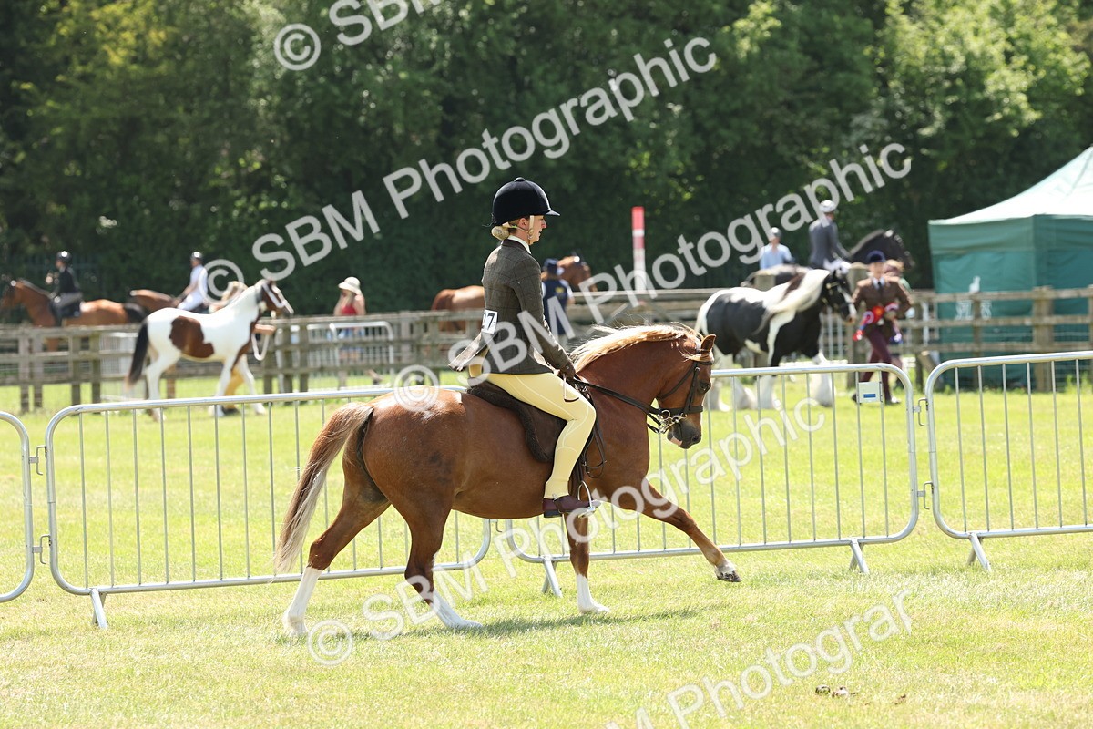 SBM_06742 - Class 26-30 - Mountain and Moorland Ridden