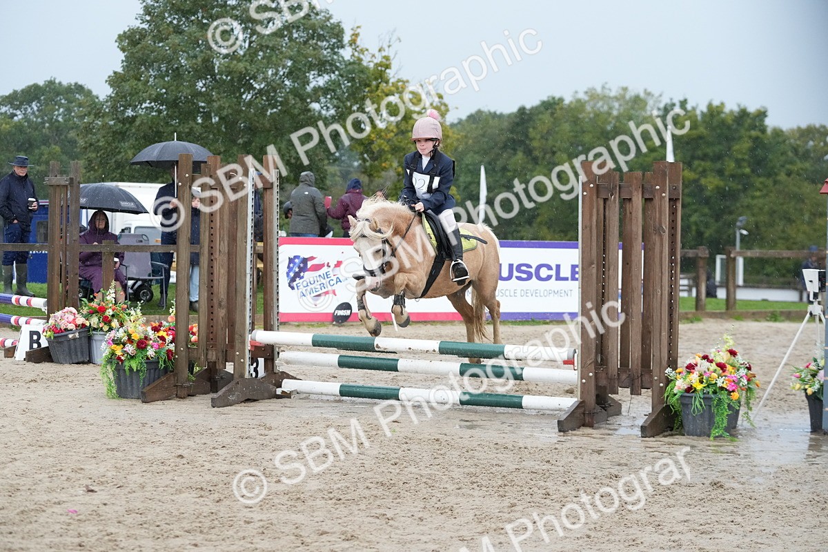 SBM_33871 - J5 - Junior Pony 50cm Championship