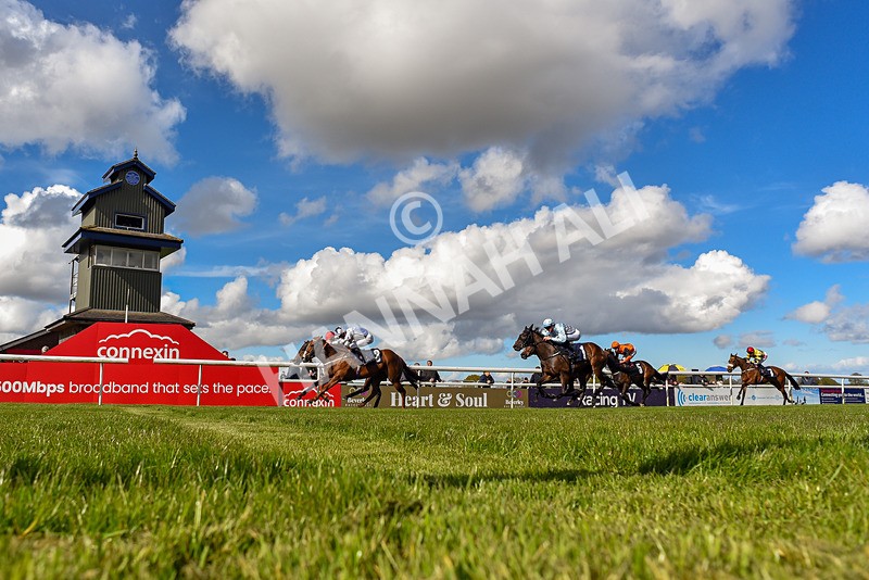 250424-Race 4-Classy Boy-3903 - Race 4