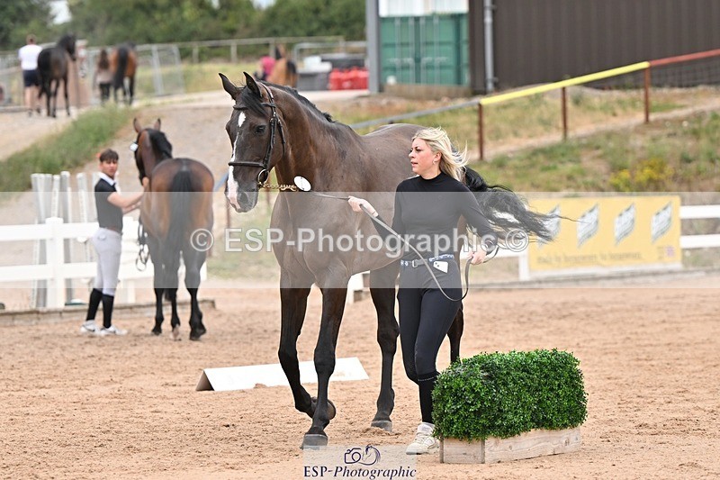 250716-160113-02346 - Trot Up 3.30 to 4.30