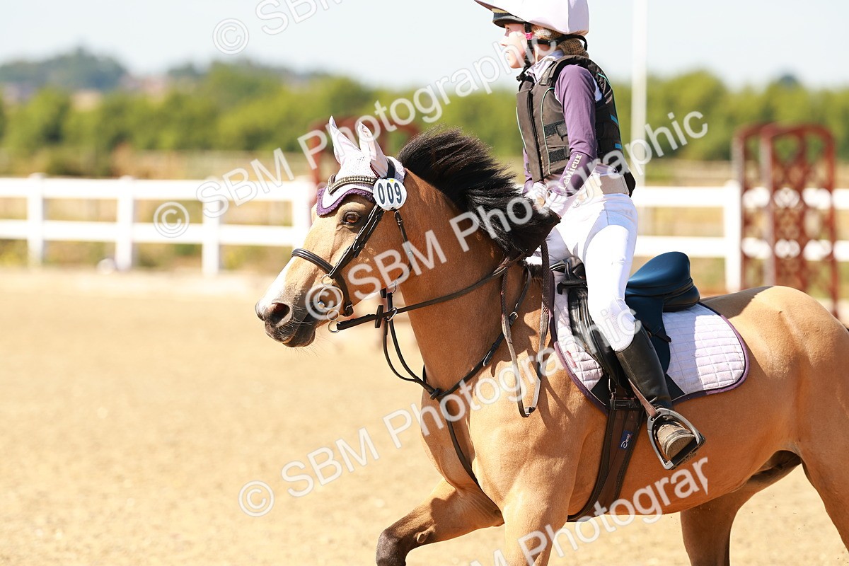 SBM_000686 - AE - 50cm