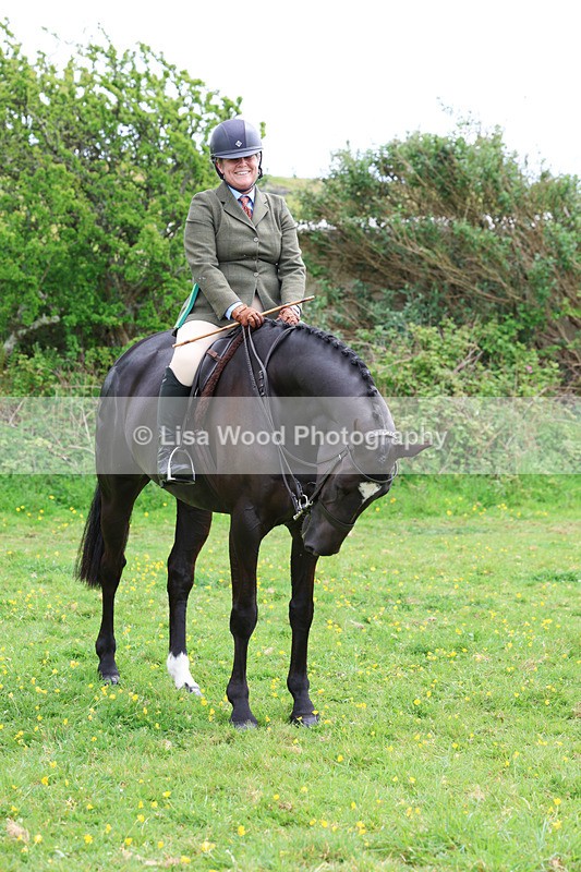 3E7A1377 - Class 7: Ridden Hunter Type