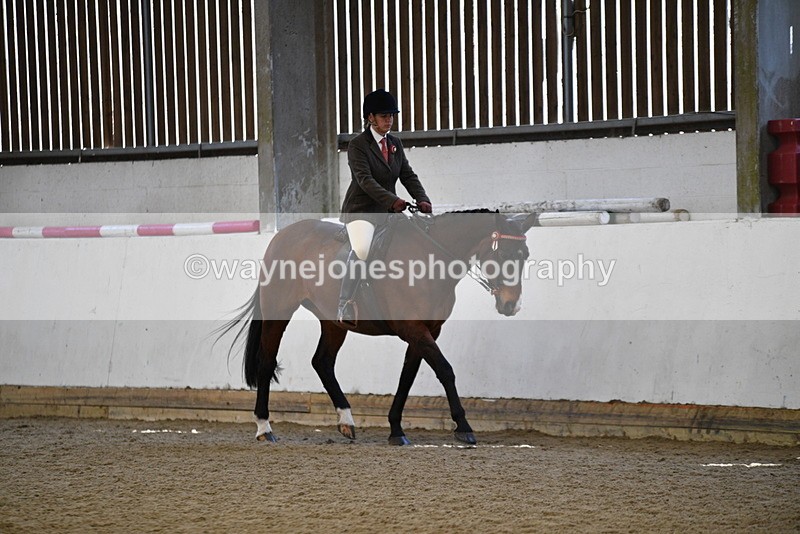 WJ5_5947 - Class 9 Ridden Veteran