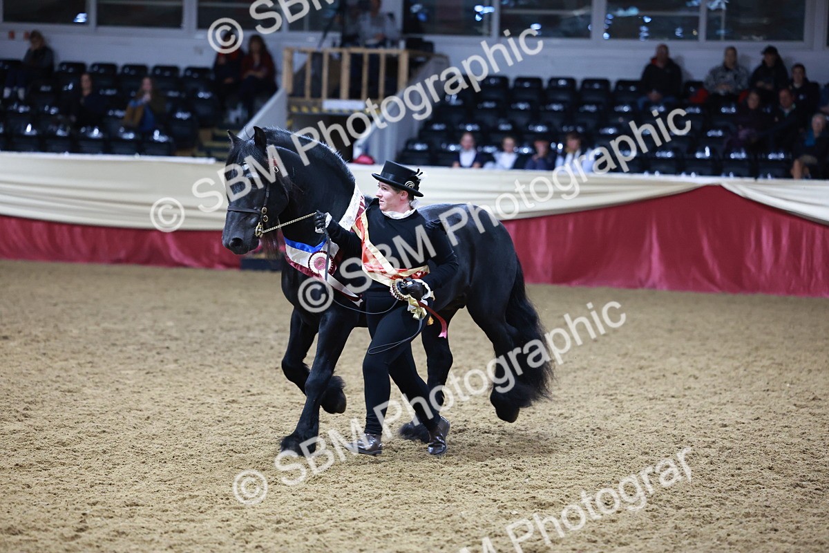 SBM_20438 - Class F - IH Small (148cm & Under)Champ