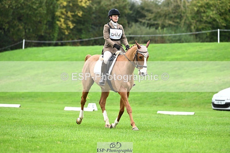 241024-110022-03111 - 502-Alison.Stewart-RICO.III