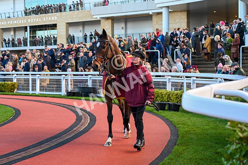 141224-Race 1-Ocean Conquest-0299 - Race 1