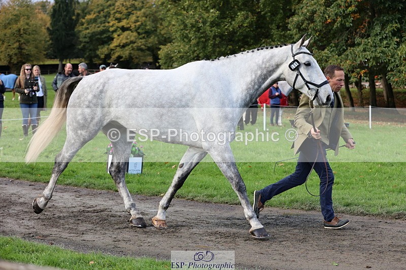 251026A-102126-22918 - E-389-Will.van.Ufford