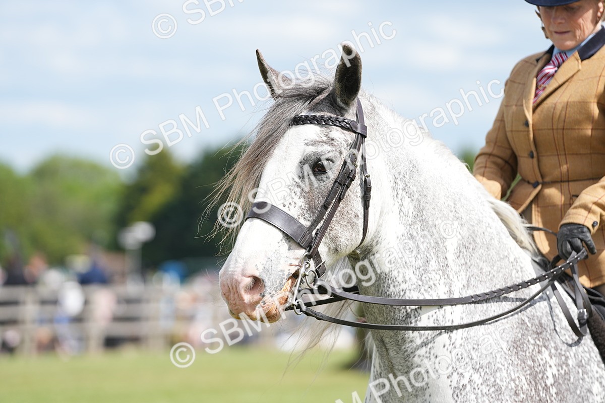 SBM_17249 - Class 107-108 - LIHS BSPS Performance Coloured Horse Pony
