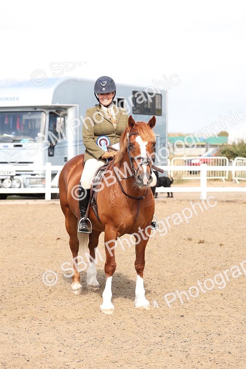 SBM_06810 - Class 58a -  Style & Performance - 70cm (15-19)