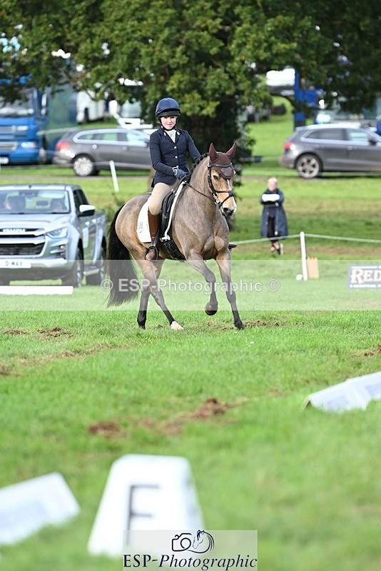 231020-161524-11648 - 558-BATHLEYHILLS.GOLDEN.SPRAY-Cleo.Whitbread-DR