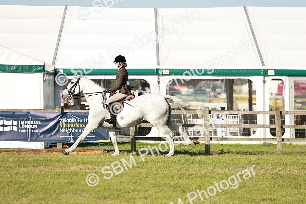 SBM_20011 - Class 115-116 - LIHS BSHA Rising Star Working Hunter & Show Horse
