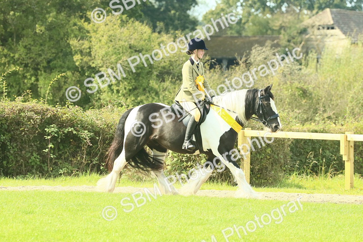 SBM_69000 - S58 - Mini Show Cob Ridden