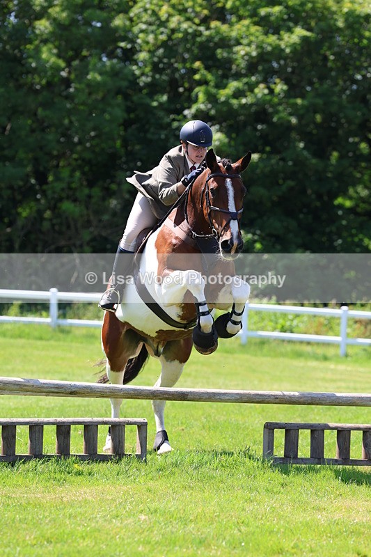 3E7A6870 - Class 30: Novice Working Hunter