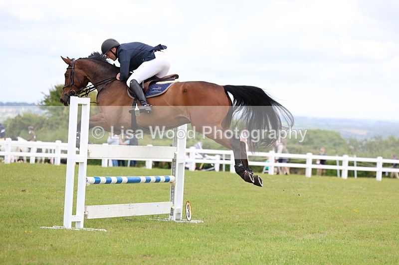 3E7A7149 - Class 12: Senior Foxhunter/1.20 open