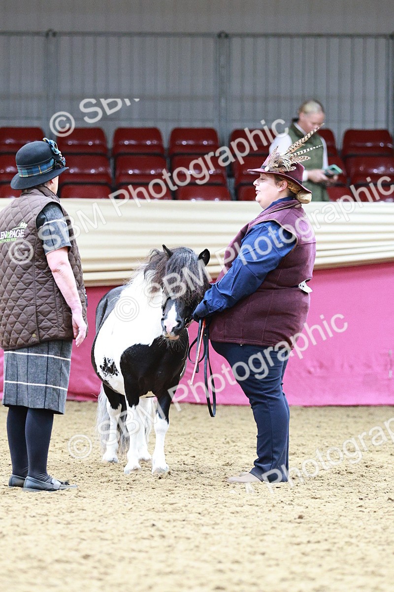 SBM_01259 - Class 3A - Area IH Pre-Vet