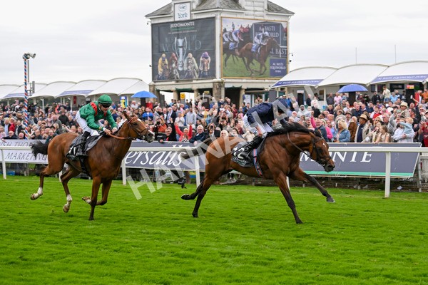 210824-Race 4-City Of Troy-5133 - Race 4 3.35pm Juddmonte International Stakes