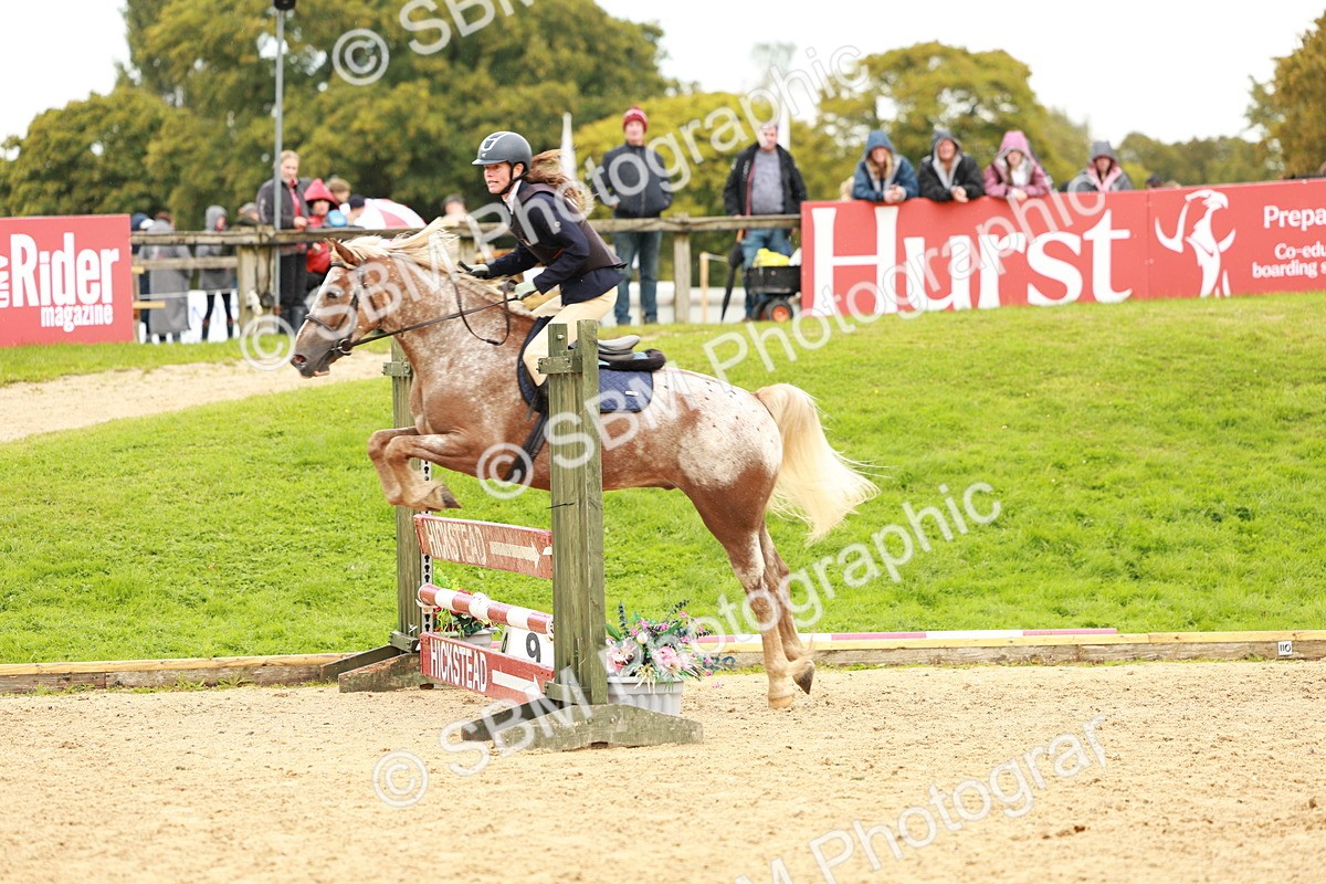 SBM_38443 - Supreme Championship 80cm 85cm
