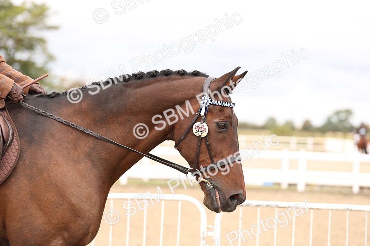 SBM_02777 - Class 53 - Ridden Competition Horse/Pony