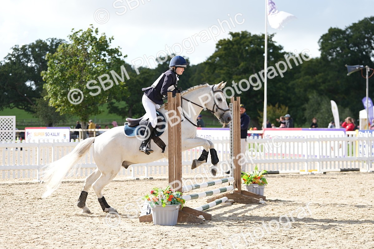 SBM_17716 - J58 - Clear Round 50cm