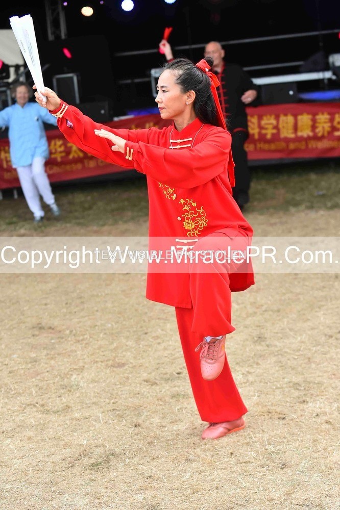 SH4_1593 - Tai Chi with Lisa Kay.