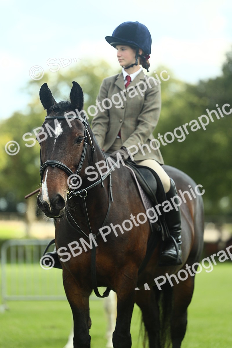 SBM_42158 - S29 - Novice & Newcomers Working Hunter Pony