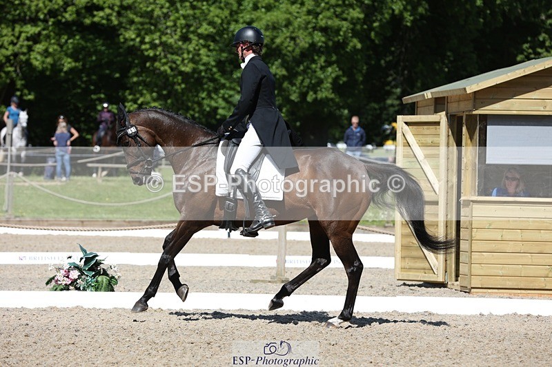 230526-102854-05266 - 361-FINCH_FANCY-Ben_Lee_Liles-WEDTrotUp+DR