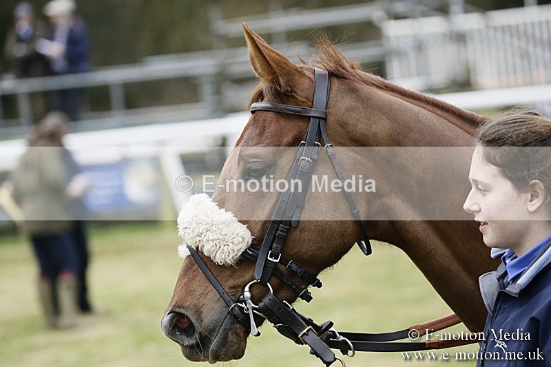 PtP 110318 184 - Hampshire Hunt Point-to-Point Hackwood Park 11/03/18