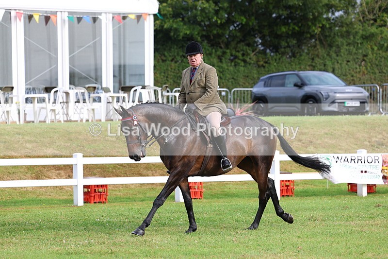 3E7A8053 - Class 2: Rising Star Large Hack/Riding Horse