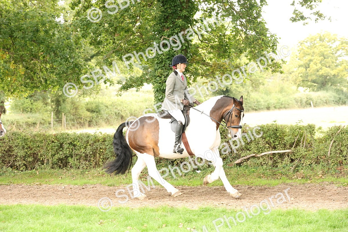SBM_66309 - S66 - Hunter Ridden