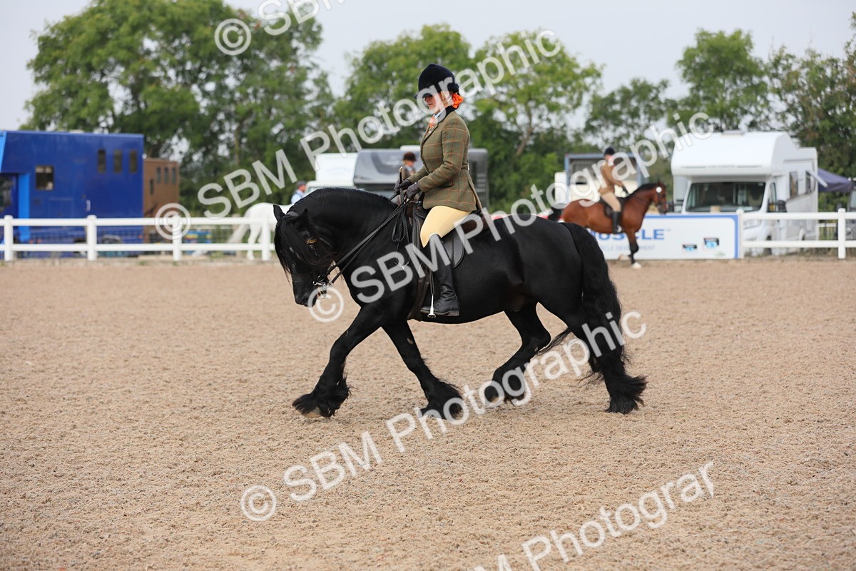SBM_10026 - Class 302 Ridden M&M -Large Breeds