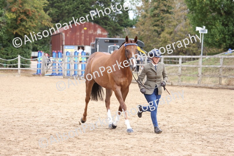 20260831-1970 - Class 5 - Retraining of Racehorses