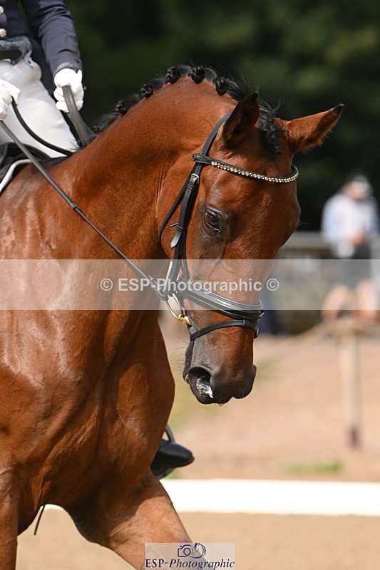 250719A-095400-03152 - 101-Sophie.Douglas-Paquino.V'ant.Goovahof