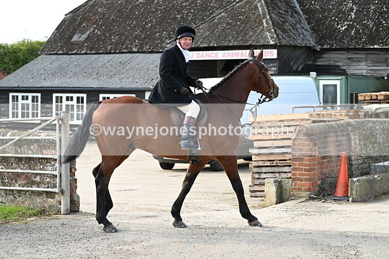 WJ7_9973 - Walk Home