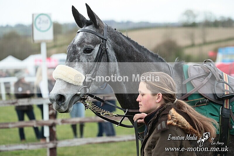 PtP 130425 340 - Edgecote Races 13/04/25