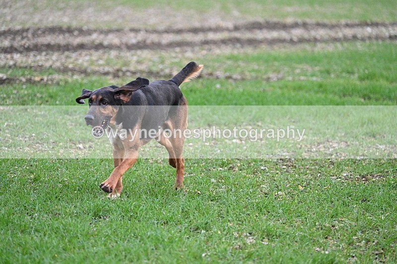 WJ7_0195 - Camera 1 & Last fence