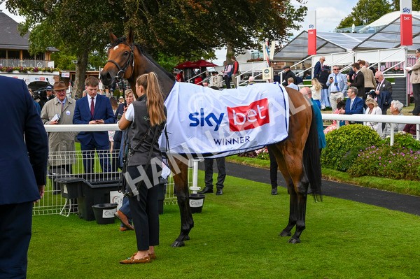 240824-Race 3-Breege-0704 - Race 3 3.00pm Sky Bet City Of York Stakes
