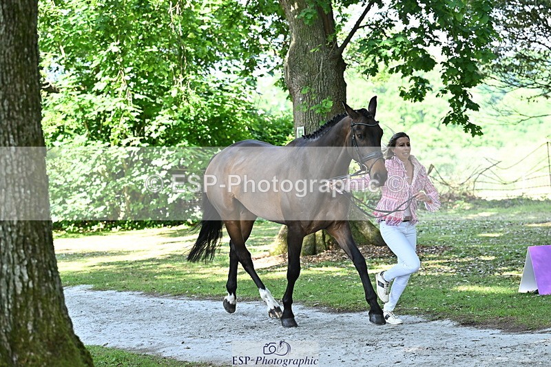 250521A-154724-00760 - B-366-Ginny.Howe-CHF.CAPTAIN.JACOB