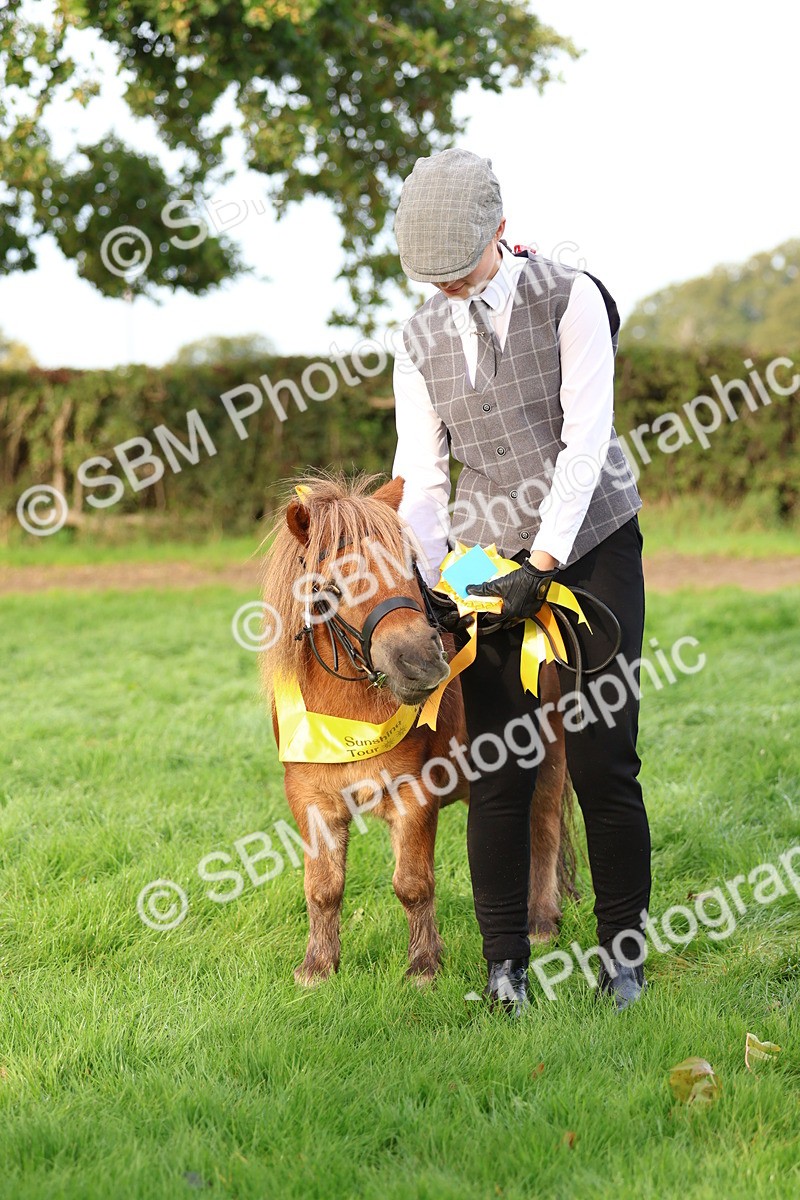 SBM_54903 - S39 - Starters In Hand Showing