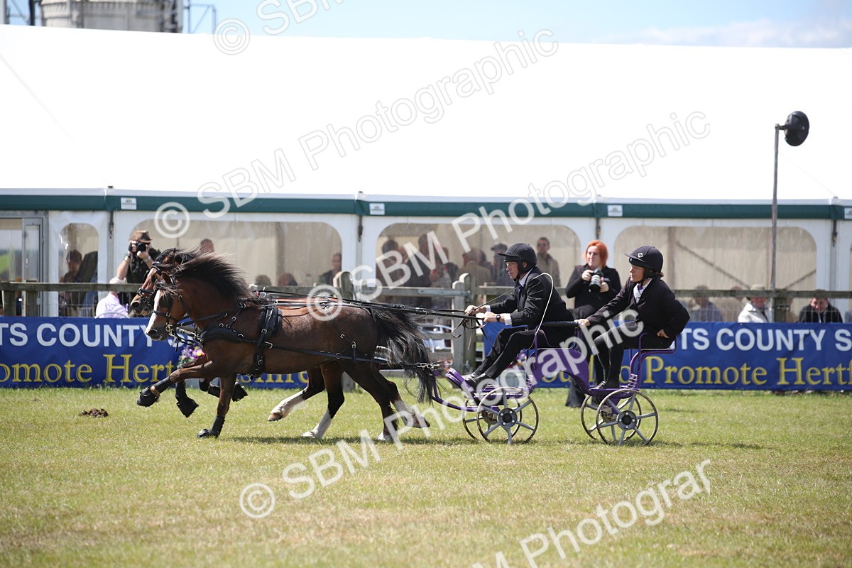 SBM_15359 - Class 90 - Scurry 122cm and Under